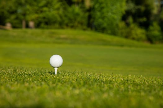 Golf ball on the golf course
