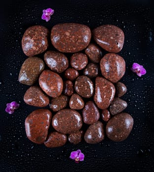 Stones in a purple and pink orchid flower