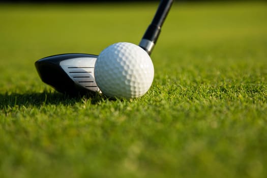 Golf player playing in a golf club on a beautiful sunset in the evening