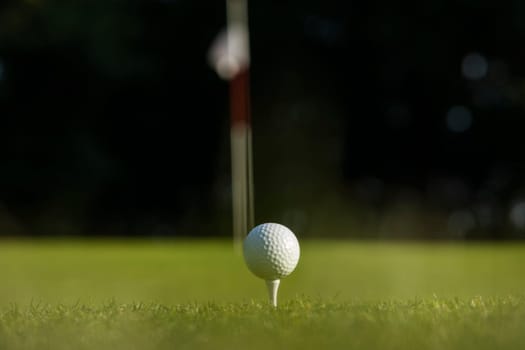 Close up of golf ball on green grass