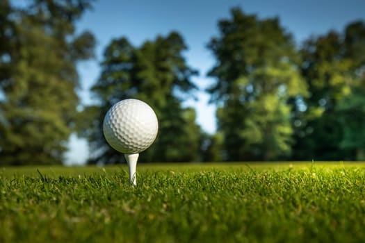 Golf ball on green course in the forest