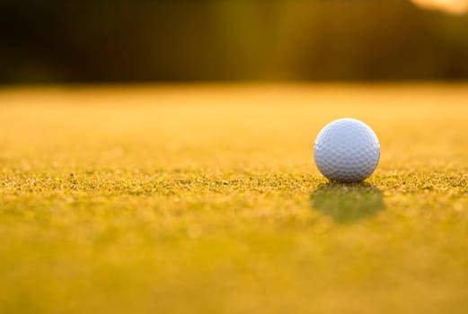 Golf course with ball and grass