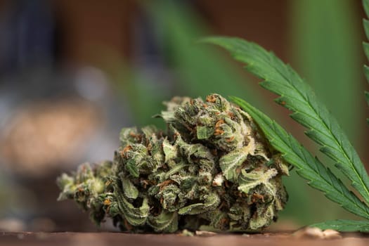 Weed, Top view of marijuana, Cannabis leaves