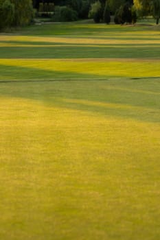 Golf course with green grass