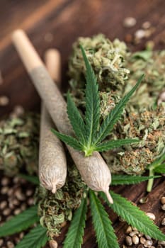 Blunt, cannabis and medical marijuana bud , cbd