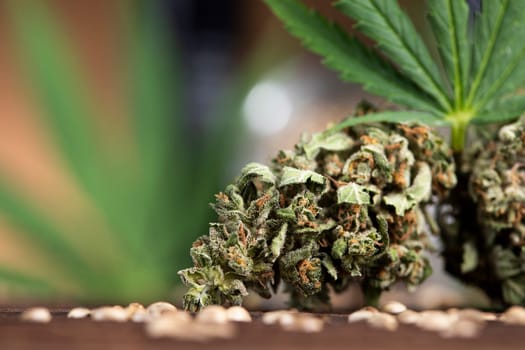 Cbd weed, Cannabis leaves and Top view of marijuana