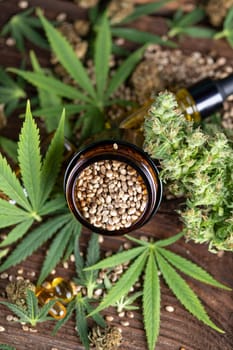 Marijuana plant with medical cannabis, cbd