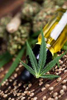 Cbd oil and marijuana plant, hemp seeds, medical marijuana concept