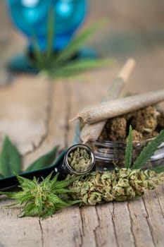 Blunt, Cbd cannabis hemp buds