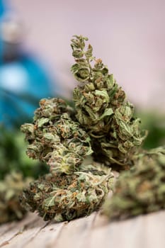 Marijuana, cannabis bud and weed, cbd concept