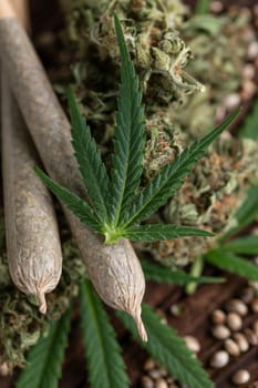 Blunt, Cbd,  Marijuana bud with cannabis