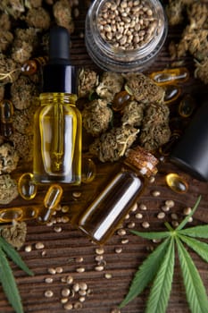 Oil cbd, cannabis and hemp leaves, medical marijuana concept