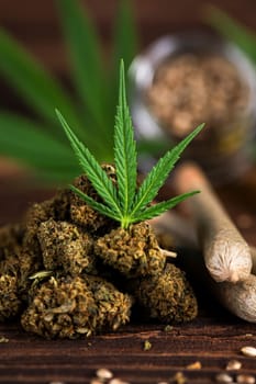 Cannabis and medical marijuana bud , cbd, blunt