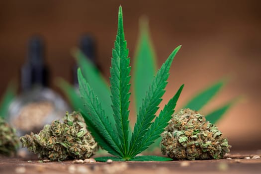 Cbd weed, Cannabis leaves and Top view of marijuana