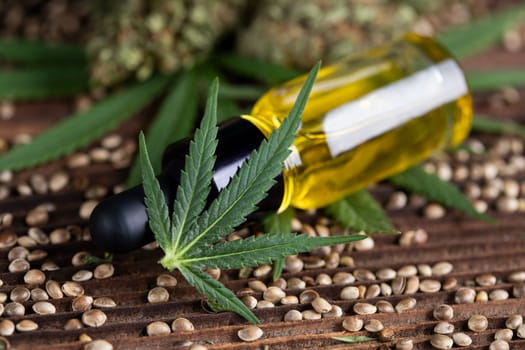 Cbd oil and marijuana plant, hemp seeds, medical marijuana concept