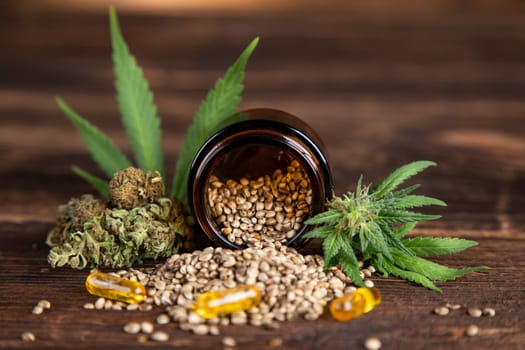 Marijuana plant with medical cannabis, cbd
