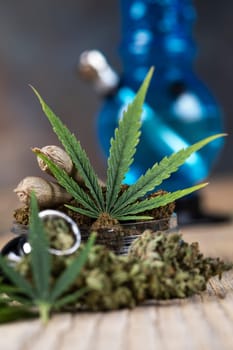 Marijuana and cannabis buds, cbd concept