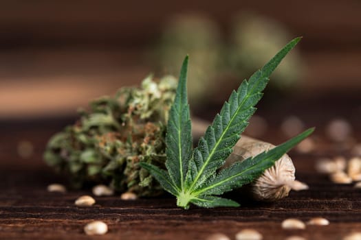 Blunt, Marijuana buds with cannabis leaves, cbd