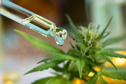 Set of essential oil cbd in a glass bottle, with a pipette, marijuana concept