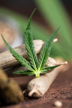Blunt, Cbd,  Marijuana bud with cannabis