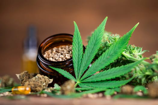 Marijuana plant with medical cannabis, cbd