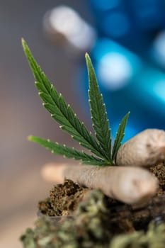 Blunt, Marijuana buds with cannabis leaves, cbd