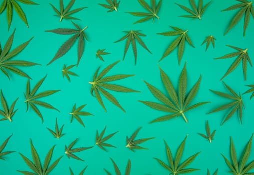 Flat lay composition, cbd, Cannabis leaves with marijuana