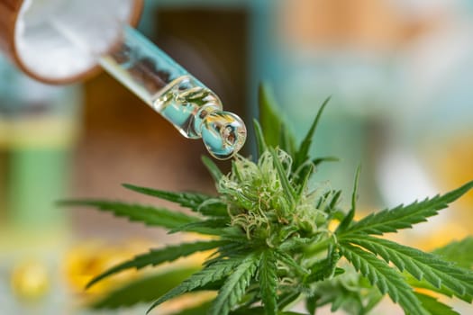 Set of essential oil cbd in a glass bottle, with a pipette, marijuana concept