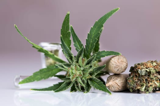 Blunt, Cbd cannabis hemp buds