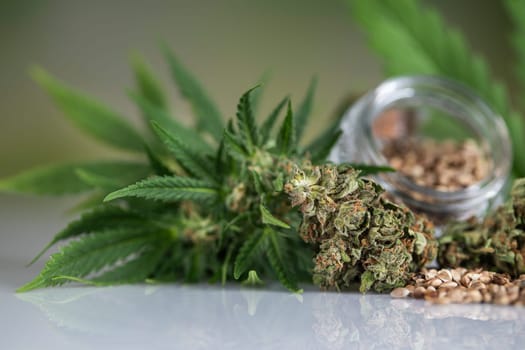 Cbd cannabis and medical marijuana