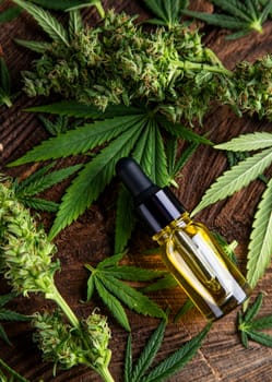 Cbd oil and marijuana plant, hemp seeds, medical marijuana concept