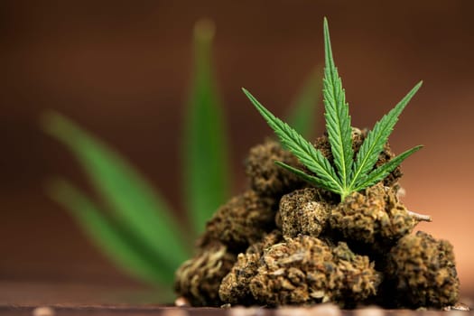 Cbd weed, Cannabis leaves and Top view of marijuana