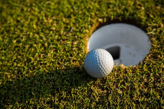 Sport and lifestyle, Golf ball on green grass on course