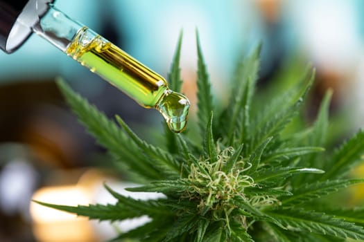 Set of essential oil cbd in a glass bottle, with a pipette, marijuana concept