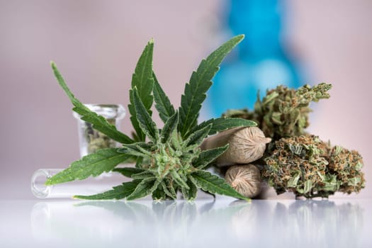 Weed of marijuana leaves and cannabis buds, cbd