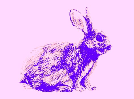 Hand Drawn Sketch Rabbit for Your Design. Psychedelic