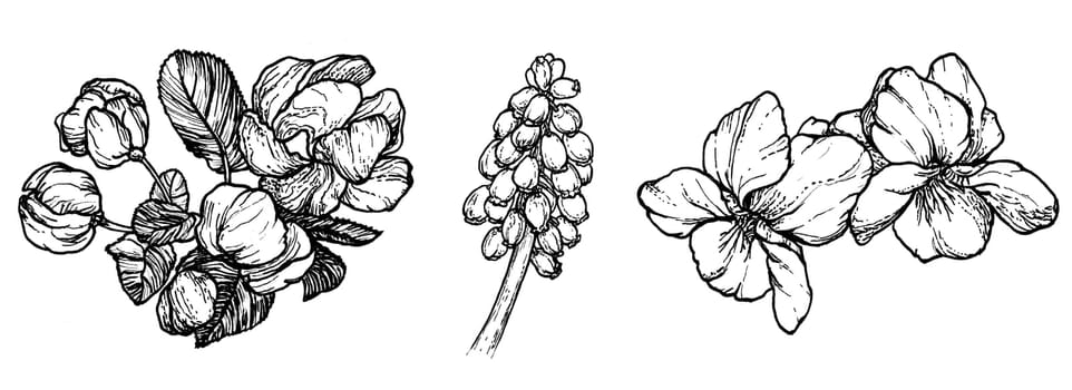 Spring flowers drawing with line art on white