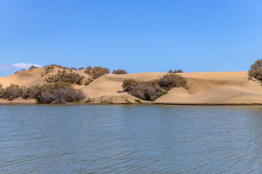 Maspalomas sand dunes, Gran Canaria, Canary islands, Spain