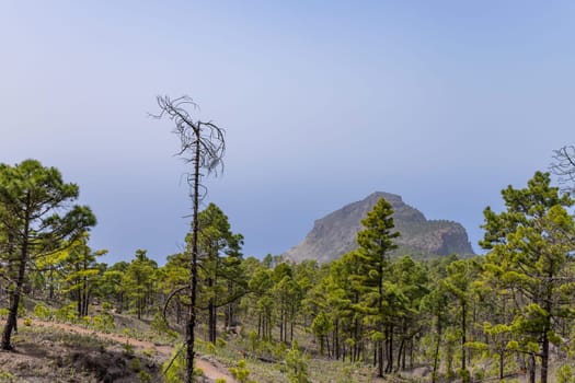 Mountains on the island of Gran Canaria, Spain