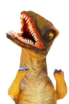 Prehistoric era dinosaur open mouth in attack position isolated on a white background. Clipping path. Tyrannosaurus Rex.
