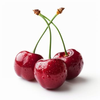 Three cherries with stems and water droplets isolated on white