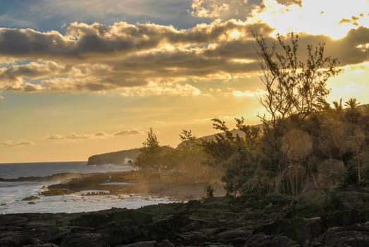 A beautiful sunset over the ocean with a tree in the foreground. The sky is filled with clouds and the sun is setting