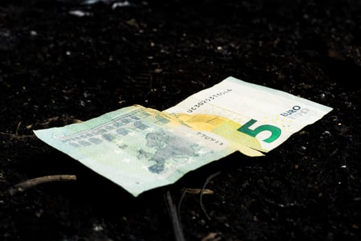 Conceptual image of popular euro currencies on a garden soil