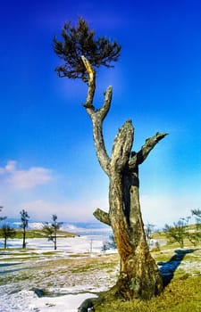 Winter on the Baikal, ice and snow on the lake. The beauty of the nature of Baikal in winter.