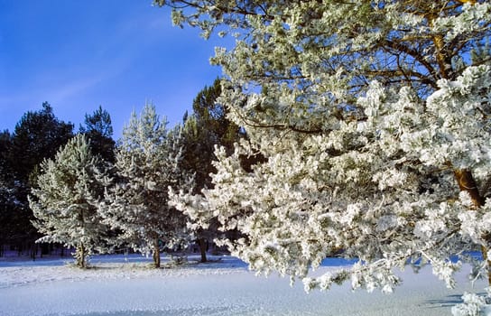 Winter on the Baikal, ice and snow on the lake. The beauty of the nature of Baikal in winter.