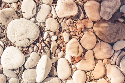 Stones and pebbles of different sizes with a warm sunny effect and autumn leaves scattered around, background image