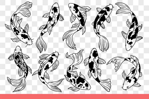 Japanese carp fish with spotted body and large fins swims in different positions. Traditional oriental fish living in national praks and tropical reserves of asia. Hand drawn doodle