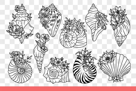 Seashells of sea inhabitants and underwater animals with flowers. Beautiful seashells from clams and oysters or mussels found on ocean shore with tropical beach. Hand drawn doodle.