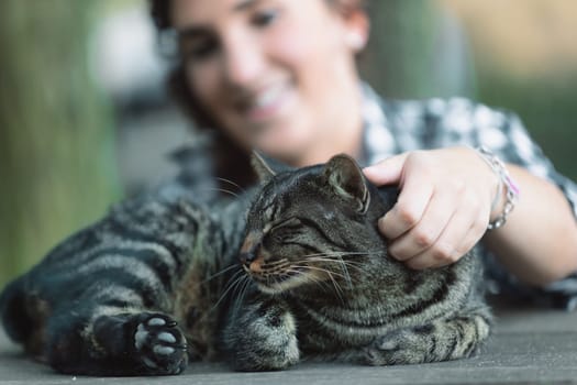 Smiling woman with curly hair and checkered shirt reaches out to a tabby cat. Her face is in sharp focus, while the cat is slightly blurred, highlighting her joyful interaction