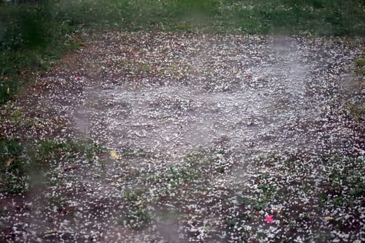 Witnesses of a storm front: fingernail-sized hailstones lie on the campsite of Manerba del Garada on Lake Garda  Travel Photography - Lake Garda / Lago di Garda / Italy /Italy / Italia